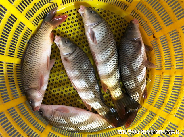它是"淡水鱼王",6元1斤没人买,鱼贩说出4个原因,网友沉默了