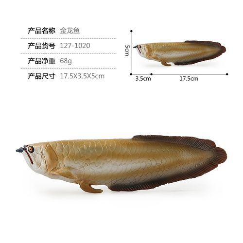 厂家供货实心仿真海洋动物模型淡水鱼鲤鱼银龙鱼红龙鱼金龙鱼模型